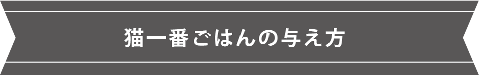 猫一番ごはんの与え方